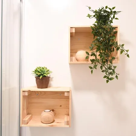 +3bed +2bath +wifi Apartment